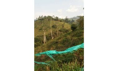 Venta Finca en Santo Domingo Antioquia.