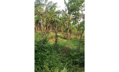 Venta Finca en Santo Domingo Antioquia.