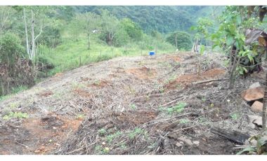 Venta Finca en Santo Domingo Antioquia.