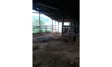 Venta Finca en Santo Domingo Antioquia.
