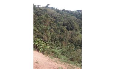 Venta Finca en Santo Domingo Antioquia.