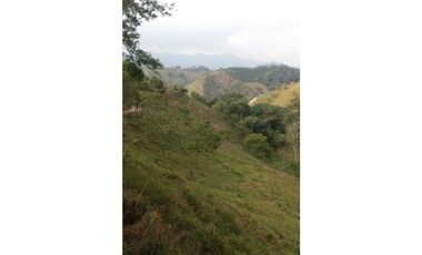 Venta Finca en Santo Domingo Antioquia.