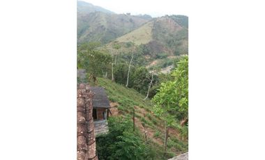 Venta Finca en Santo Domingo Antioquia.