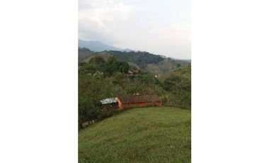 Venta Finca en Santo Domingo Antioquia.