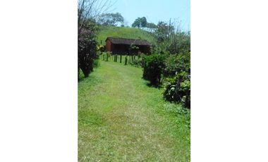 Venta Finca en Santo Domingo Antioquia.