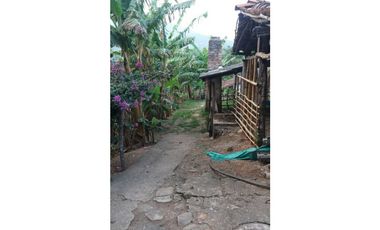 Venta Finca en Santo Domingo Antioquia.