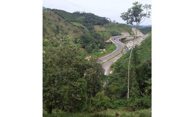 Venta Finca en Santo Domingo Antioquia.