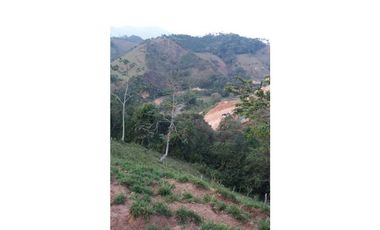 Venta Finca en Santo Domingo Antioquia.