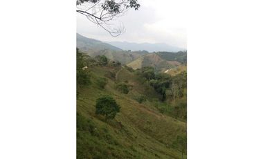 Venta Finca en Santo Domingo Antioquia.