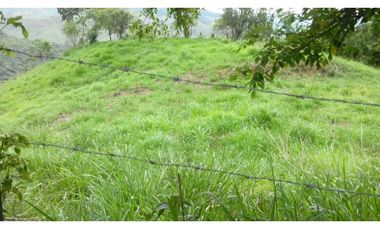 Venta Finca en Santo Domingo Antioquia.