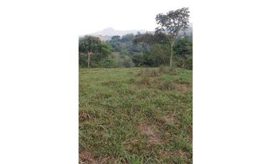 Venta Finca en Santo Domingo Antioquia.