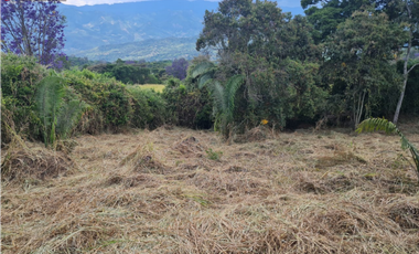 Venta Lote La Trinidad La Mesa Cundinamarca