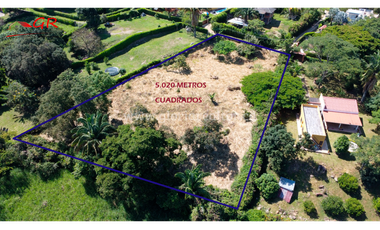 Venta Lote La Trinidad La Mesa Cundinamarca