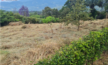 Venta Lote La Trinidad La Mesa Cundinamarca