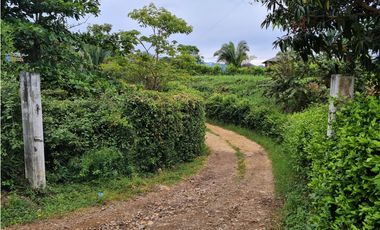 Venta Lote La Trinidad La Mesa Cundinamarca