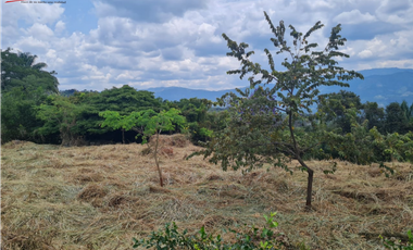 Venta Lote La Trinidad La Mesa Cundinamarca