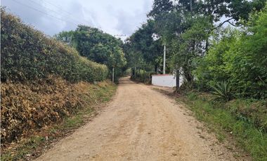 Venta Lote La Trinidad La Mesa Cundinamarca