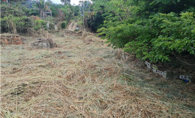 Venta Lote La Trinidad La Mesa Cundinamarca