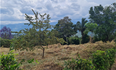 Venta Lote La Trinidad La Mesa Cundinamarca