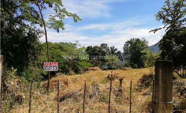 Venta Lote La Trinidad La Mesa Cundinamarca
