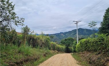 Venta Lote La Trinidad La Mesa Cundinamarca