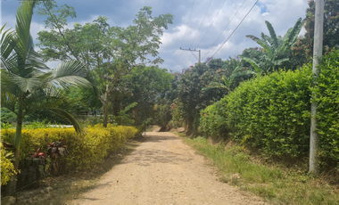 Venta Lote La Trinidad La Mesa Cundinamarca
