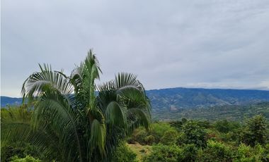 Venta Lote La Trinidad La Mesa Cundinamarca
