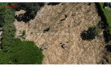 Venta Lote La Trinidad La Mesa Cundinamarca
