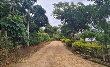 Venta Lote La Trinidad La Mesa Cundinamarca