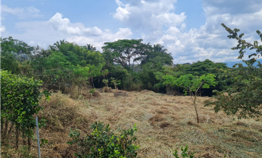 Venta Lote La Trinidad La Mesa Cundinamarca