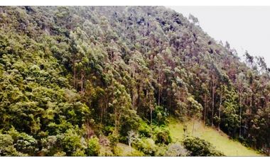 SE VENDE FINCA CON VISTA HACIA EL VALLE DE RO FRO