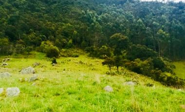 SE VENDE FINCA CON VISTA HACIA EL VALLE DE RO FRO