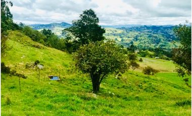 SE VENDE FINCA CON VISTA HACIA EL VALLE DE RO FRO