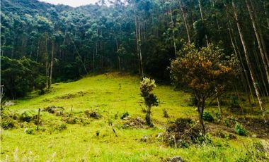 SE VENDE FINCA CON VISTA HACIA EL VALLE DE RO FRO