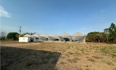 SE VENDE FINCA VIA VEREDA LAS MARIAS