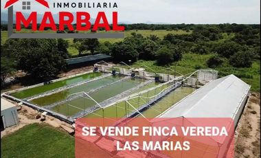 SE VENDE FINCA VIA VEREDA LAS MARIAS