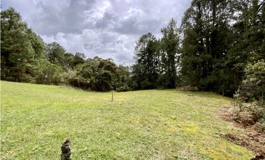 Venta Lote Inmerso en Bosque Parcelacion Alto Palmas