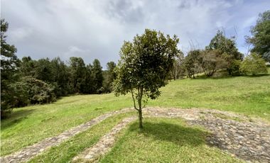 Venta Lote Inmerso en Bosque Parcelacion Alto Palmas