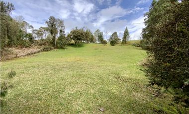 Venta Lote Inmerso en Bosque Parcelacion Alto Palmas