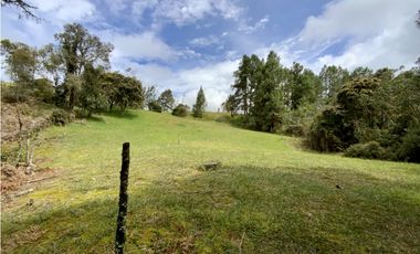 Venta Lote Inmerso en Bosque Parcelacion Alto Palmas