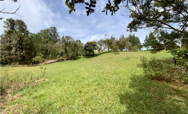 Venta Lote Inmerso en Bosque Parcelacion Alto Palmas