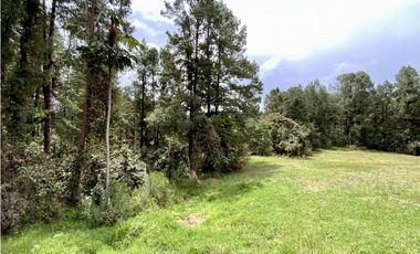 Venta Lote Inmerso en Bosque Parcelacion Alto Palmas