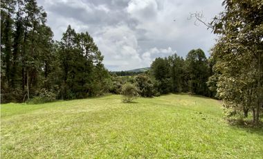 Venta Lote Inmerso en Bosque Parcelacion Alto Palmas