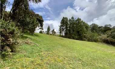 Venta Lote Inmerso en Bosque Parcelacion Alto Palmas