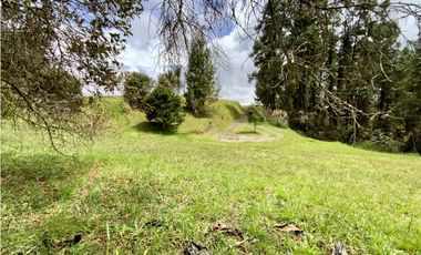 Venta Lote Inmerso en Bosque Parcelacion Alto Palmas