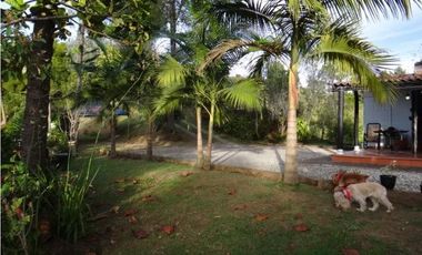Venta de Finca en Rionegro