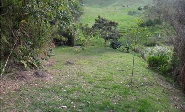 Venta de Finca en Rionegro