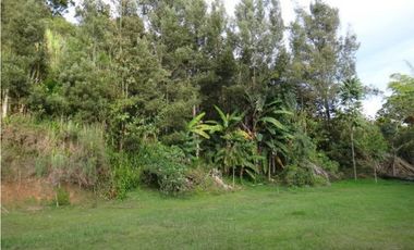 Venta de Finca en Rionegro