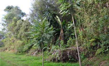 Venta de Finca en Rionegro