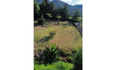 SE VENDE LOTE CAMPESTRE  EN LA CEJA PARCELACION CERRADA ZONA MUY CAMPE